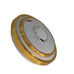 Globe LED Bluetooth ( Intérieur)