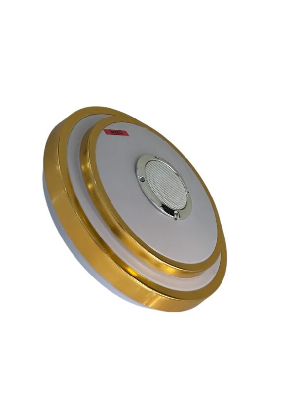 Globe LED Bluetooth ( Intérieur)
