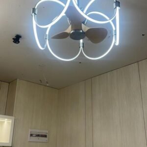 Lustre ventilo (plafonnier)